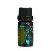 NATURAL BEAUTY - Essential Oil Blend - Plant Extraction E1F1024A 10ml/0.34oz