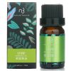 NATURAL BEAUTY - Essential Oil - Lime E1F1024F 10ml/0.34oz