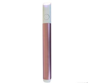 Household Safety Red Blue Light Smallpox Diluting Acne Beauty Instrument (Option: Rose Gold)