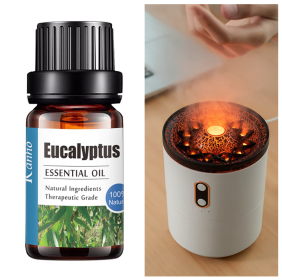 Pure Essential Oil 10ml Aroma Diffuser (Option: Eucalyptus-Set)